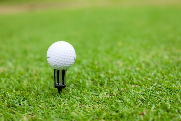 Golfboll på tee i en vacker grön golf gräs — Stockfoto