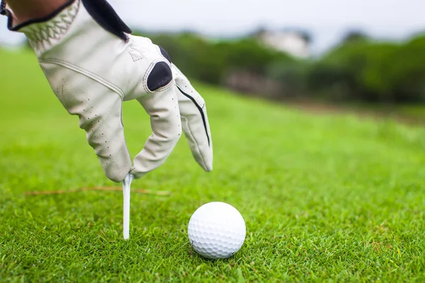 Colocación de la mano de la pelota de golf en tee sobre hermoso campo de golf con hierba verde —  Fotos de Stock