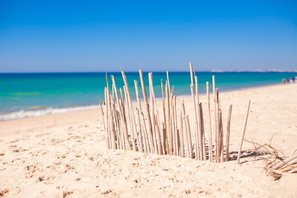 Dry fence of reeds on a deserted coast in Faro, Portugal — Stock Photo, Image
