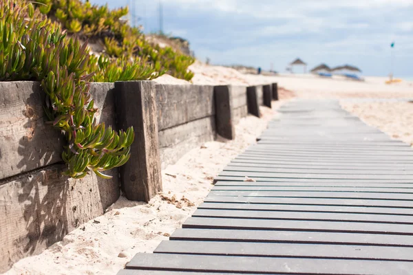 Close-up beeld van een houten bord lopen in het strand — Stockfoto