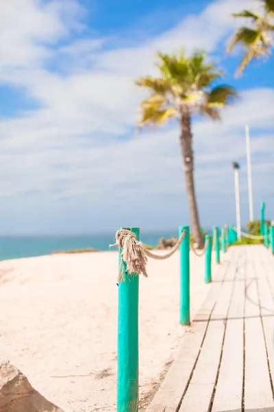 Wooden platform on way to sea of palm trees in the white beach — Stock Photo, Image