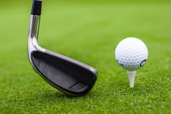 Golf tee piłka klub kierowcy w zielonej trawie oczywiście zbliżenie — Zdjęcie stockowe