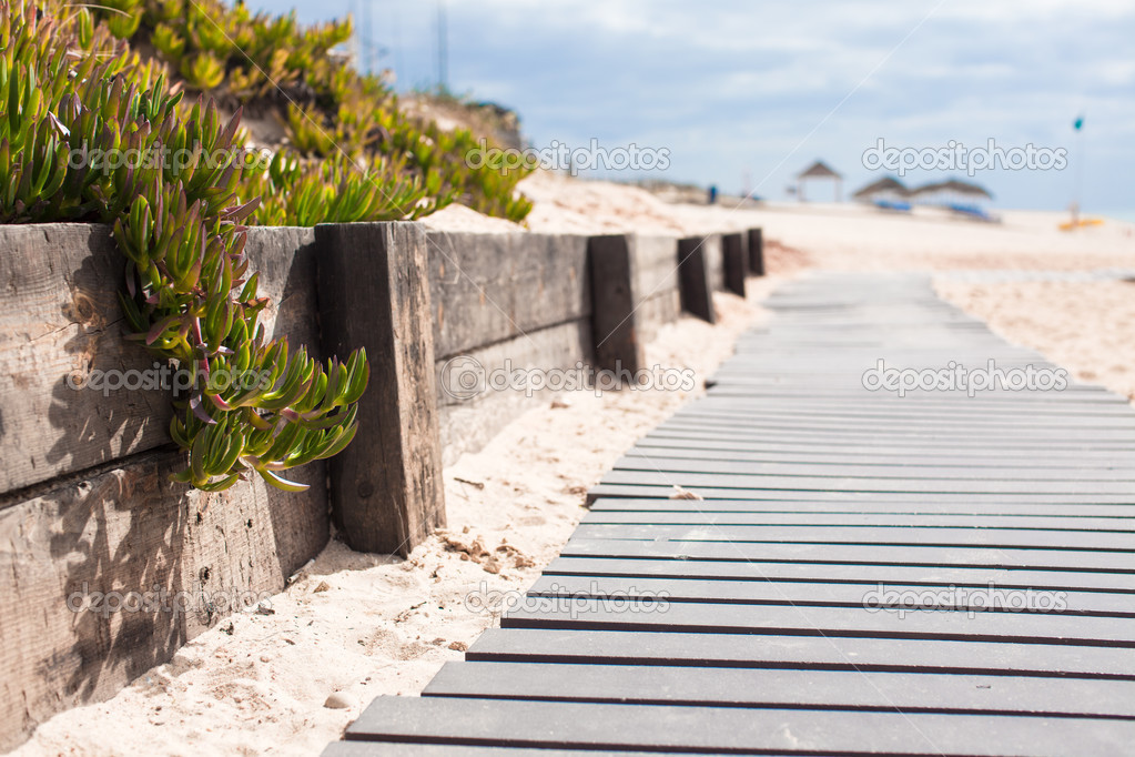 Close-up view of a wood board walk in the beach