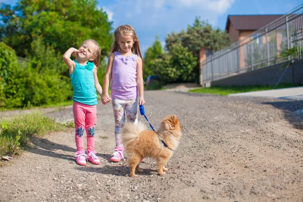 Duas garotinhas andando com um pequeno cachorro de coleira ao ar livre — Fotografia de Stock
