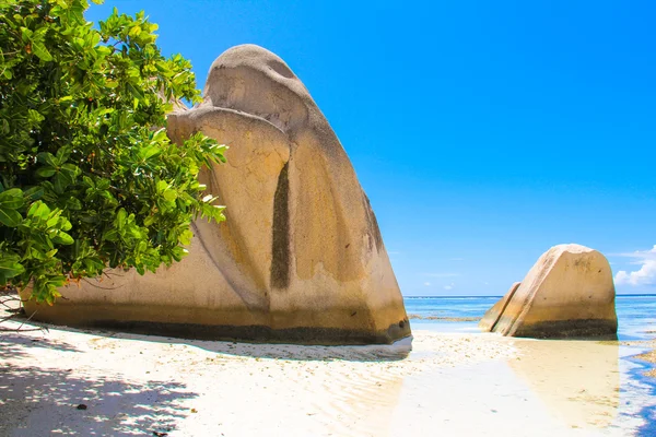 Exotic lagoon between large smooth rocks in the Seychelles — Stock Photo, Image