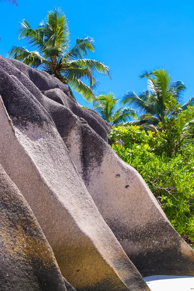 大光滑的岩石海岸，在塞舌尔群岛 — 图库照片
