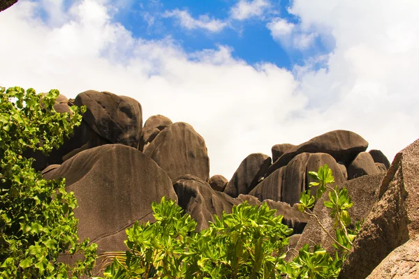 Large smooth monumental boulders in the Seychelles — Stock Photo, Image