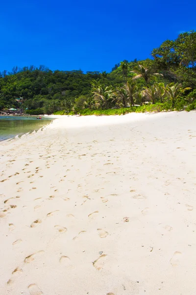 Playa tropical exótica con agua turquesa — Foto de Stock