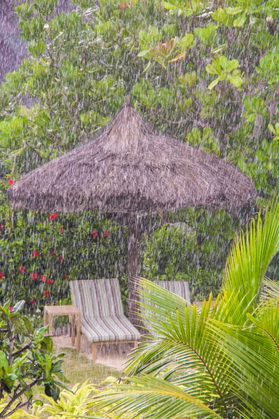 Strong tropical rain in the Seychelles — Stock Photo, Image