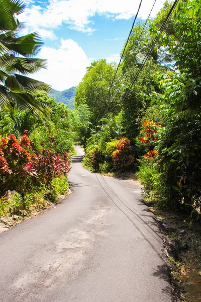 Road to the turquoise ocean and beach in Seychelles — Stock Photo, Image