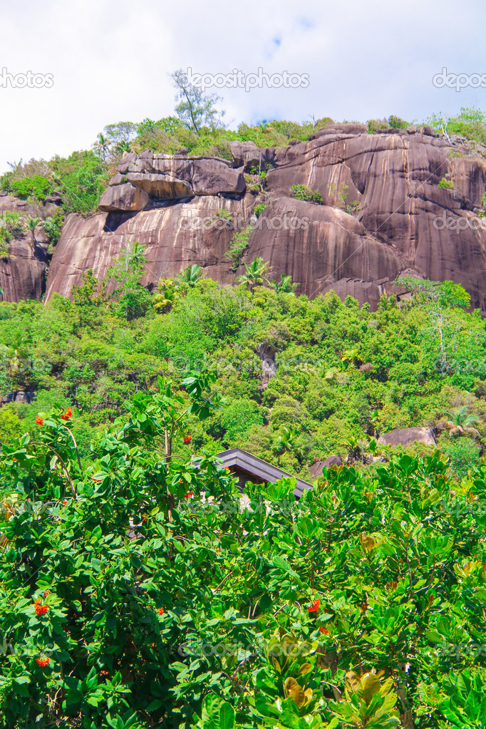 Large smooth monumental boulders in the Seychelles