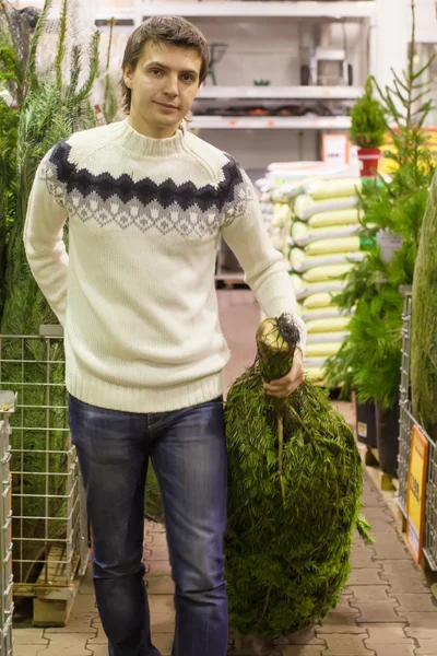 Mladý muž si vybrat vánoční stromek na trhu — Stock fotografie