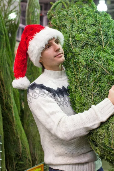 Junger Mann mit Weihnachtsmütze kauft Weihnachtsbaum — Stockfoto