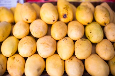 Yerel piyasada boracay içinde sarı mango