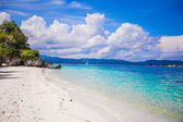 Картина, постер, плакат, фотообои "tropical beach with beautiful palms and white sand, philippines", артикул 40455033