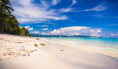 Yeşil palmiyeleri ve turkuaz suyu olan mükemmel beyaz plaj.