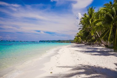 tropik Sahil güzel avuç içi ve beyaz kum, Filipinler