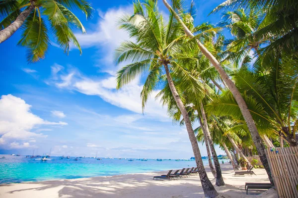 Tropischer Strand mit schönen Palmen und weißem Sand, Philippinen — Stockfoto