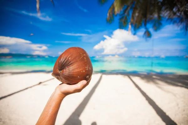 Primer plano de la mano de una persona sosteniendo un coco — Foto de Stock