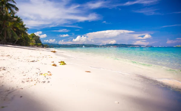 Perfekt vit strand med gröna handflator och turkost vatten — Stockfoto