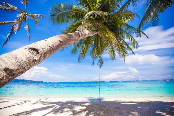 Touw schommel op grote palmboom aan witte zandstrand — Stockfoto