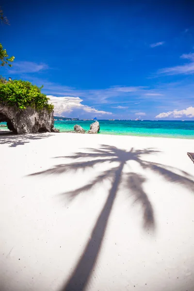 Gran palmera sombra en la playa de arena blanca —  Fotos de Stock