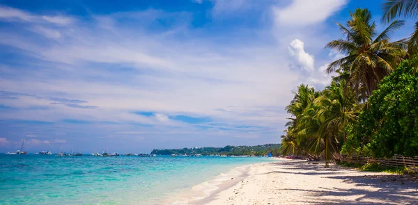 Tropical perfect beach with beautiful palms and white sand — Stock Photo, Image