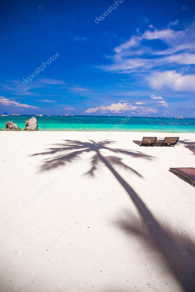 Big shadow palm tree on the white sand beach of Boracay