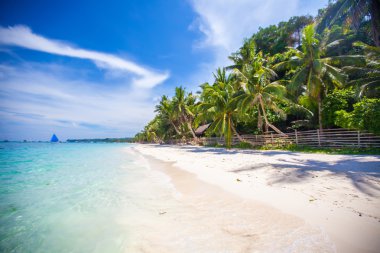 Yeşil palms, beyaz kum ve turkuaz su ile mükemmel tropikal plaj