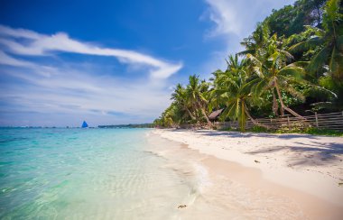 tropik Sahil güzel avuç içi ve beyaz kum, Filipinler
