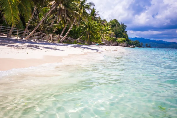 Тропічний ідеальний пляж з зеленими долонями, білим піском і бірюзовою водою — стокове фото