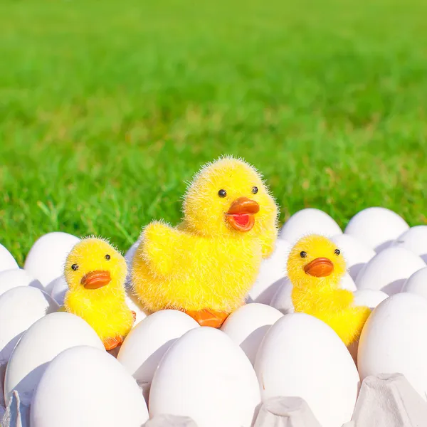 Huevos de pollo blanco en un soporte de huevo y pollos amarillos — Foto de Stock