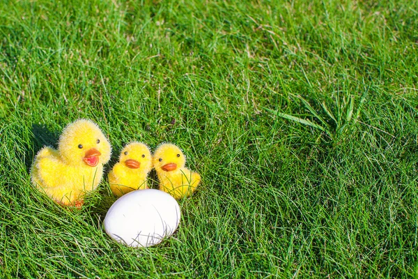 Huevo blanco de cerca con los símbolos de los pollos amarillos de Pascua —  Fotos de Stock