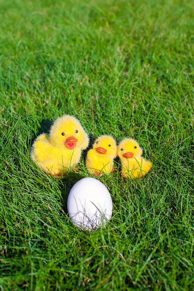Huevo blanco en hierba verde y pollos de cerca — Foto de Stock