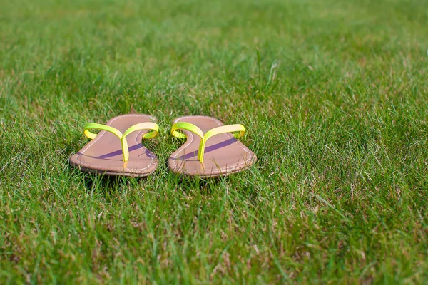 Fechar-se de chinelos brilhantes na grama verde — Fotografia de Stock