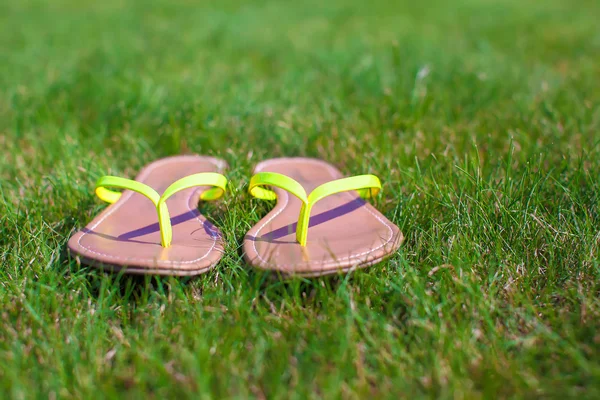 Fechar-se de chinelos brilhantes na grama verde — Fotografia de Stock