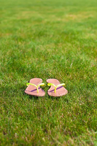 Closeup of bright flip flops on green grass — Stock Photo, Image