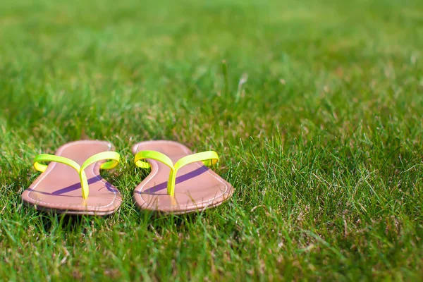 Nahaufnahme heller Flip Flops auf grünem Gras — Stockfoto