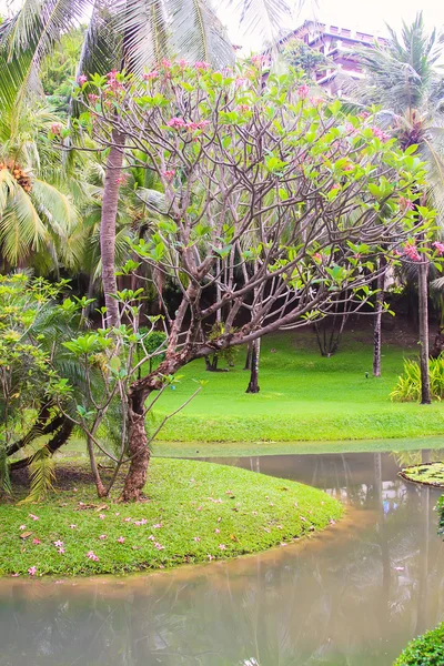 Nice view of the garden and swimming pool in a cozy little hotel — Stock Photo, Image