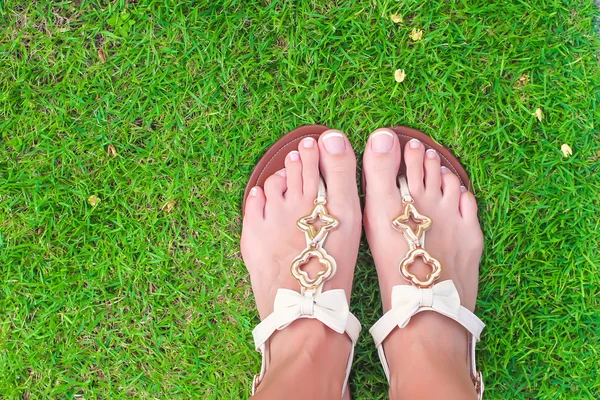 Fechar-se de chinelos brilhantes e pernas na grama verde — Fotografia de Stock
