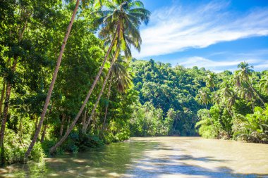 tropikal loboc river, mavi gökyüzü, bohol Adası, Filipinler