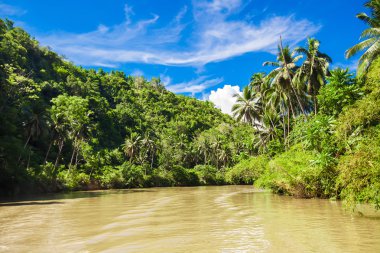 Tropical Loboc river with palm trees on both shores clipart