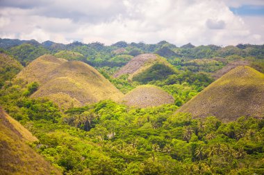 Green and yellow unusual Chocolate Hills in Bohol, Philippines clipart