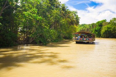 egzotik orman nehir loboc, bohol turist ile tekne gezisi