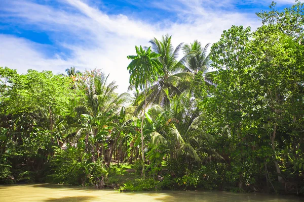 Rio Loboc e selva na ilha Bohol nas Filipinas — Fotografia de Stock