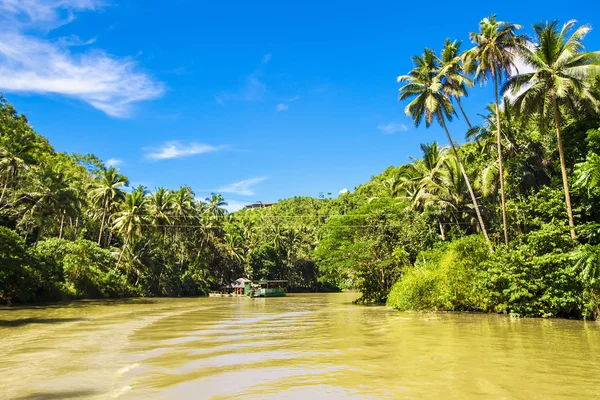 Her iki kıyısında palmiye ağaçları ile tropikal loboc Nehri — Stok fotoğraf