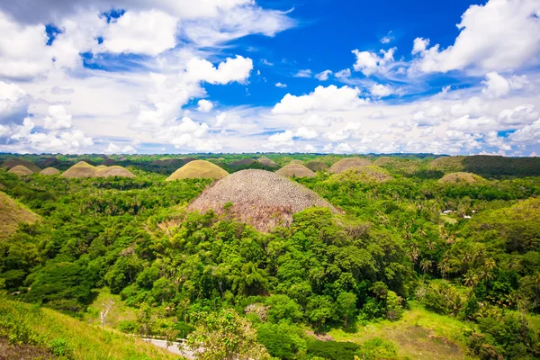 Nietypowe zielone wzgórza czekolady w bohol, Filipiny — Zdjęcie stockowe