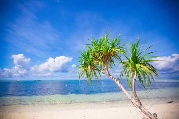 Ιδανικό τροπική παραλία με γαλαζοπράσινα νερά και άσπρη άμμο σε ένα έρημο νησί — Φωτογραφία Αρχείου