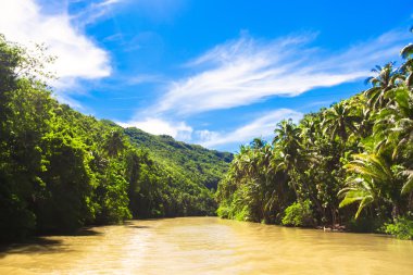 Tropical Loboc river at the island Bohol in Philippines clipart