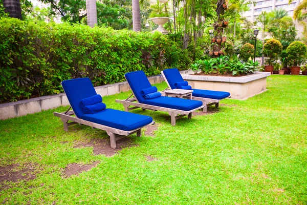 Blue chaise lounges near pool in luxury resort on green grass — Stock Photo, Image